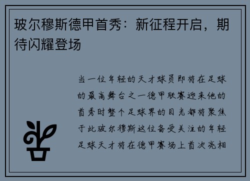 玻尔穆斯德甲首秀：新征程开启，期待闪耀登场
